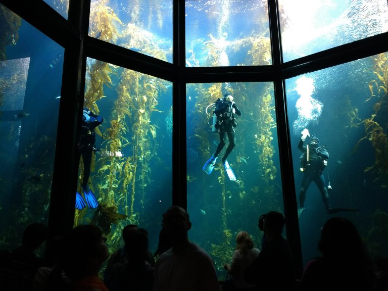 IMG_20160917_101530777